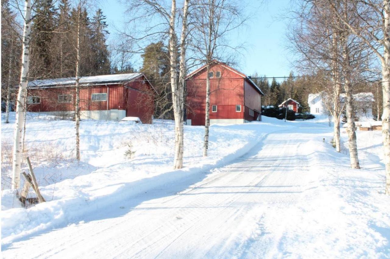 I Torberget
